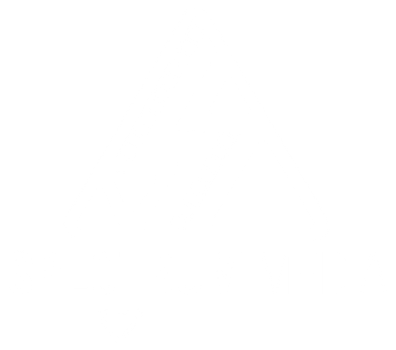 Spectrum Media Agency